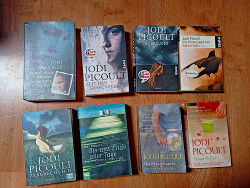 Picoult zeit gespenster - 8,